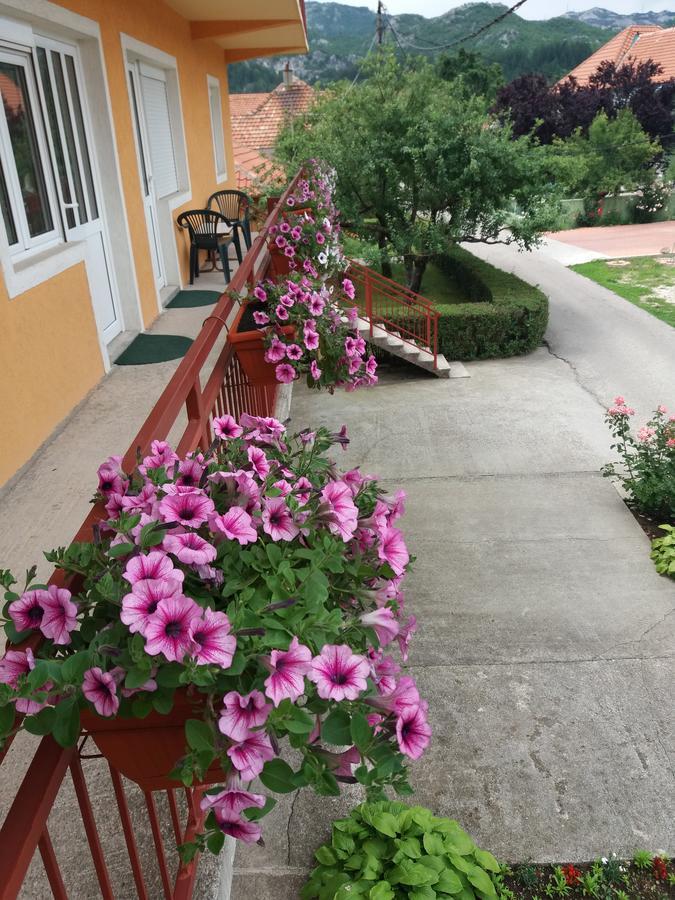 Apartments Mirkovic 센틴제 외부 사진