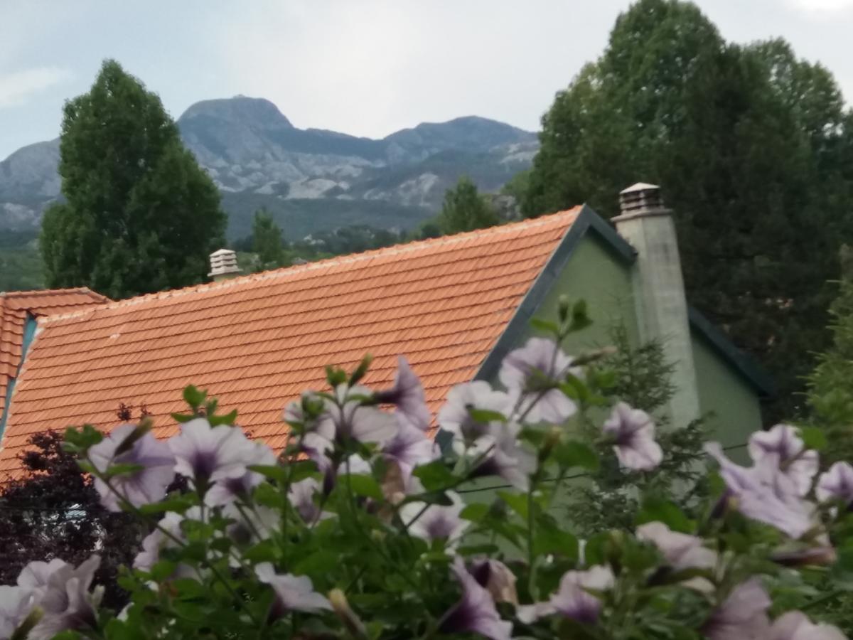 Apartments Mirkovic 센틴제 외부 사진
