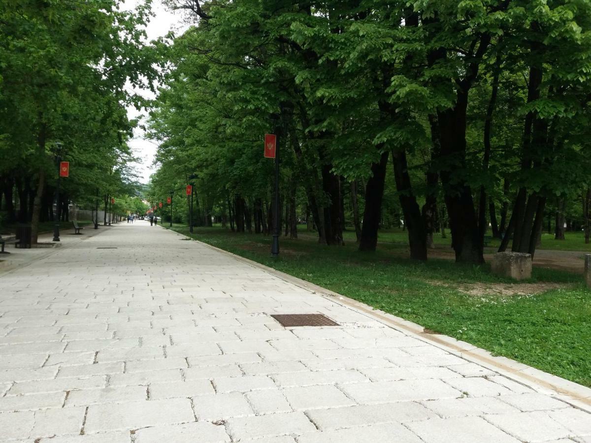 Apartments Mirkovic 센틴제 외부 사진